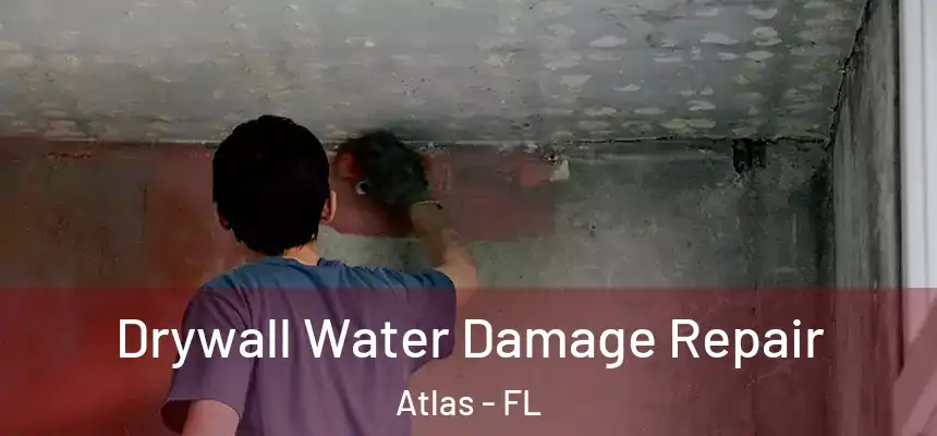  Drywall Water Damage Repair Atlas - FL