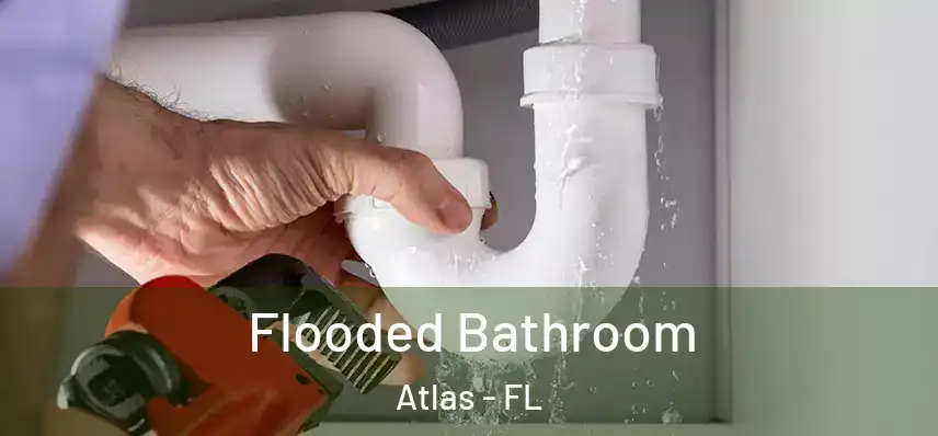  Flooded Bathroom Atlas - FL