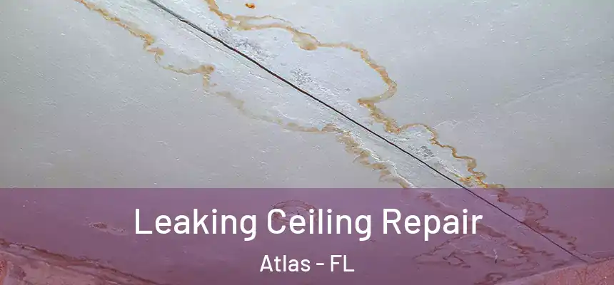  Leaking Ceiling Repair Atlas - FL
