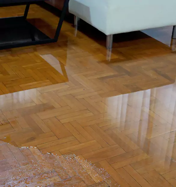 Trusted Emergency Water Restoration Company in Atlas, FL