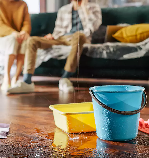 Trusted Water Mitigation Company in Atlas, FL