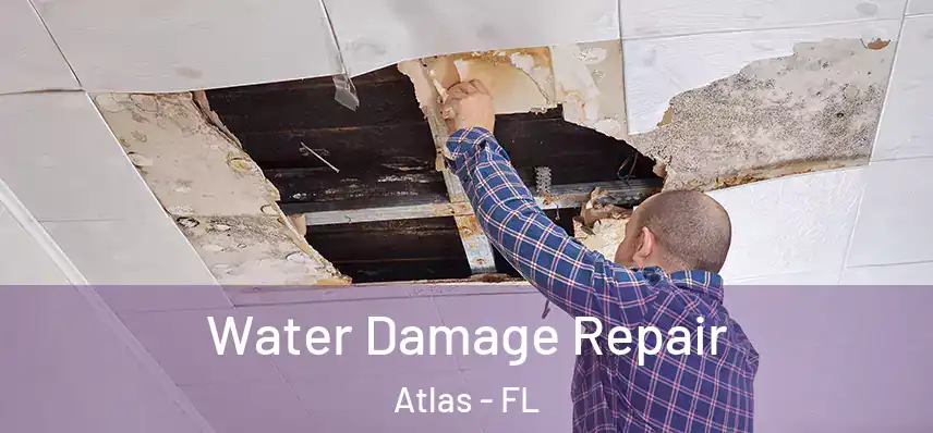  Water Damage Repair Atlas - FL